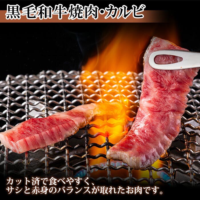 有名人芸能人】 敬老の日 ギフト にいがた和牛 焼肉用 カルビ 500g 新潟県産 ブランド黒毛和牛 薄切り 肉 国産 牛肉 gift お肉 プレゼント  新潟 霜降り A4 A5 赤身肉 最高級 南魚沼 ディナー 冷凍 焼肉 誕生日 BBQ お取り寄せ グルメ 極上 贈答品