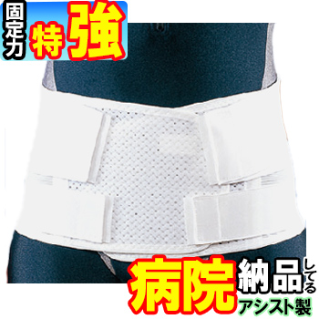 楽天市場】腰用サポーター デラックス・ソフト 広幅タイプ アシスト
