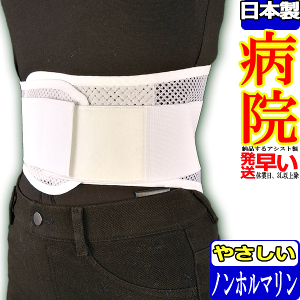 楽天市場】【今日も当日発送】【病院納品メーカー】腰用サポーター
