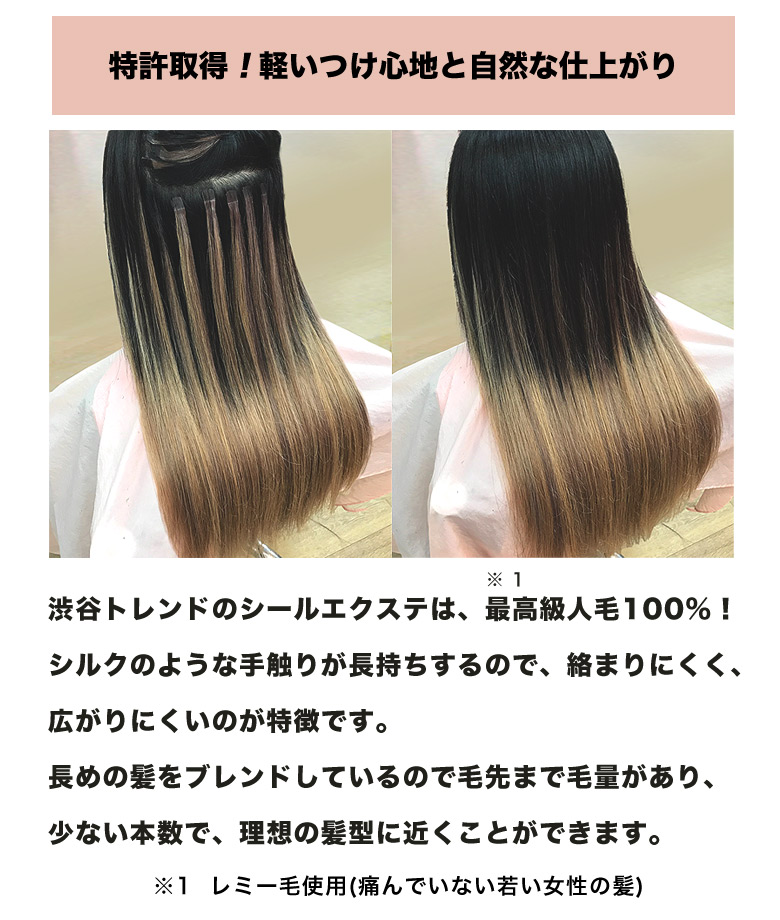 楽天市場 30cm 本分 1cm幅40枚 特許シール ヘアエクステンション 最高級人毛100 レミー毛 前髪 セミロング 簡単 つけ毛 インナーカラー メッシュ 渋谷トレンド