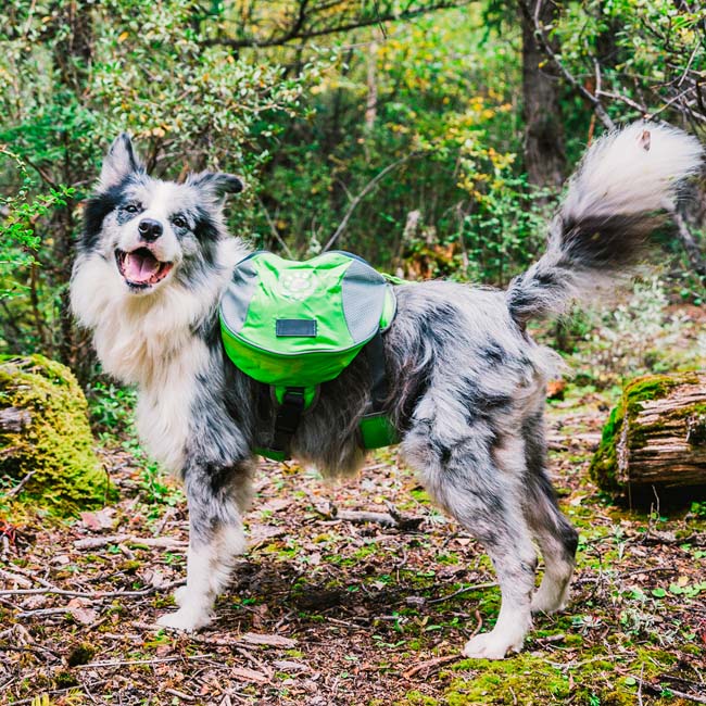中型 大型犬 ドッグバッグ ペットリュック 犬用リュック バックパック キャリーバック サドルバッグ