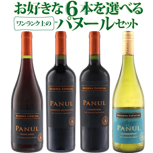 ワンランク上のパヌール選べる6本セット！コスパ抜群のチリワインを自由に組み合わせよう！　750ml&times;6本