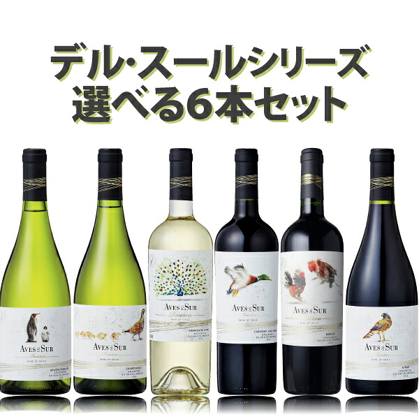 チリの上質＆コスパ抜群ワイン、デル・スールの選べる６本セット　750ml×6本