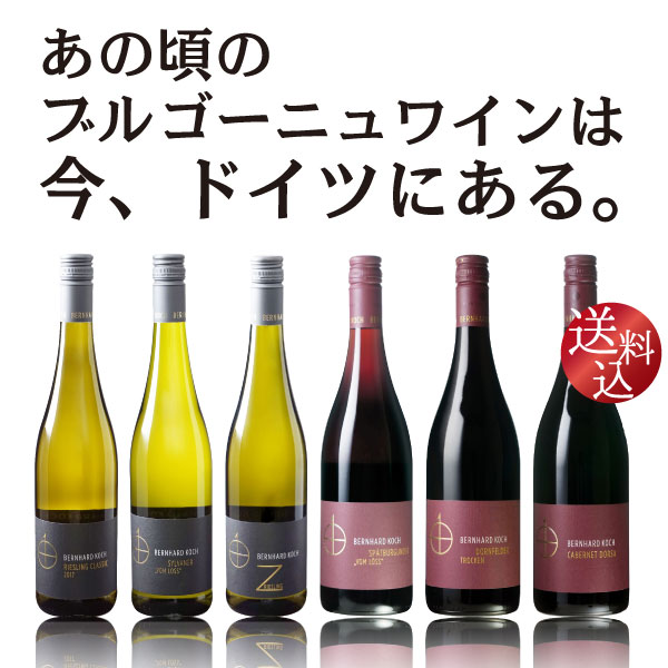 【送料込】日本人が造る 辛口 ドイツワイン　今年最も注目すべきワイナリー　ベルンハルト コッホ　6本セット　750ml×6　坂田千枝さん ヴィヌム 4星 ピノノワール リースリング フルボディ 辛口 赤ワイン 白ワイン　あの頃のブルゴーニュワインは今、ドイツにある