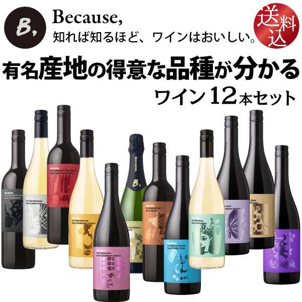 【25・26日はポイント2倍】ビコーズワイン【 ワイン入門 】有名産地の得意な品種が分かる ワイン12本セット 750ml &times; 12本 単一品種 飲み比べ ワインセット フランス イタリア アメリカ カリフォルニア ドイツ スペイン オーストラリア 産 シチリア 白ワイン 赤ワイン｜ワイン本舗　ヴァン・ヴィーノ