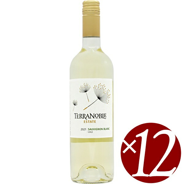 【P2倍(10日2時まで)】ソーヴィニヨンブラン/テラノブレ　750ml×１２本　(白ワイン）