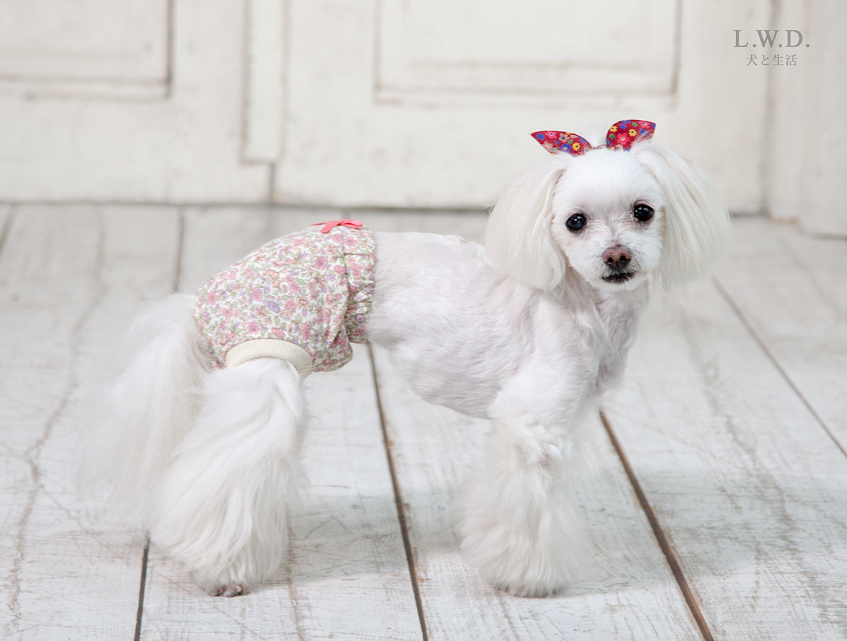 楽天市場 オムツカバーパンツ型１号 ４号犬と生活 犬 服 犬服 パンツ オムツ ずれ 防止 老犬介護 シニア オシャレ カワイイ 犬と生活 猫の暮らし