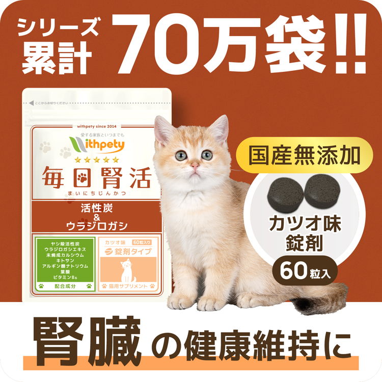 ウィズペティ 毎日腎活 猫用サプリ 腸内環境 泌尿器ケア
