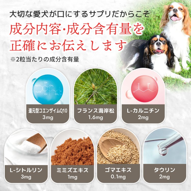 楽天市場 定期初回998円 継続10 Off メール便無料 犬用サプリ 心臓病 心筋症 心不全 血栓 7成分配合 還元型コエンザイムq10 フランス海岸松 ｌシトルリン ｌカルニチン ルンブルクス末 ゴマエキス タウリン 犬のサプリメント ペットサプリ ウィズペティ 犬用