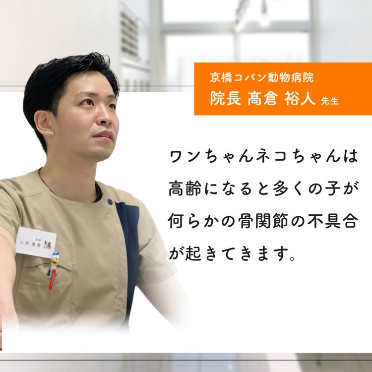 楽天市場】【初回半額クーポンプレゼント】（免疫の健康維持）【8成分 