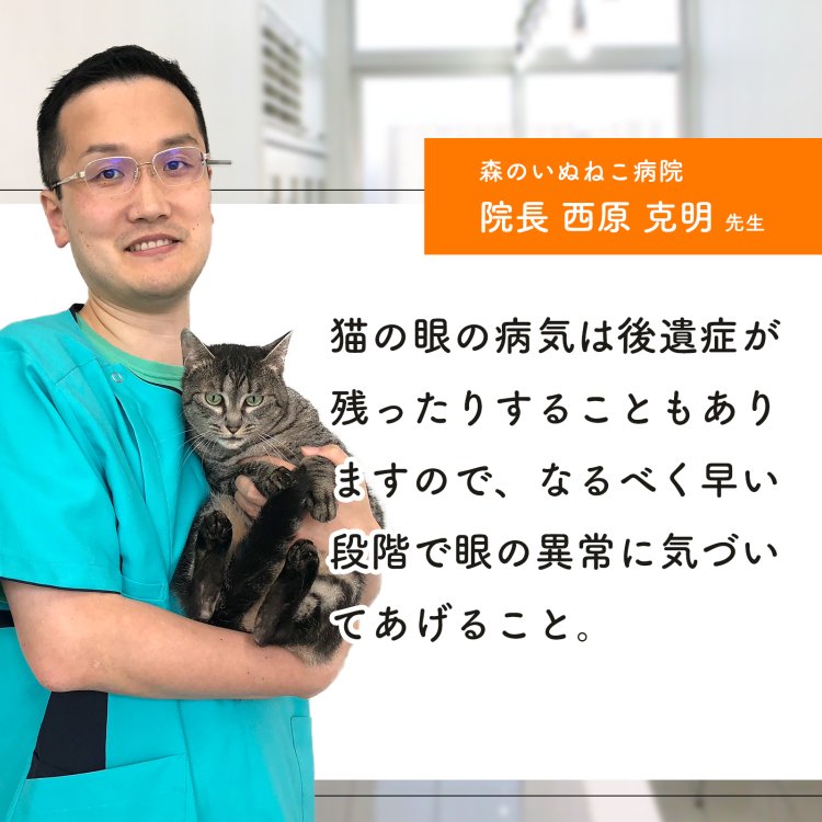 楽天市場】【初回半額クーポンプレゼント】（目の健康維持）【6成分 