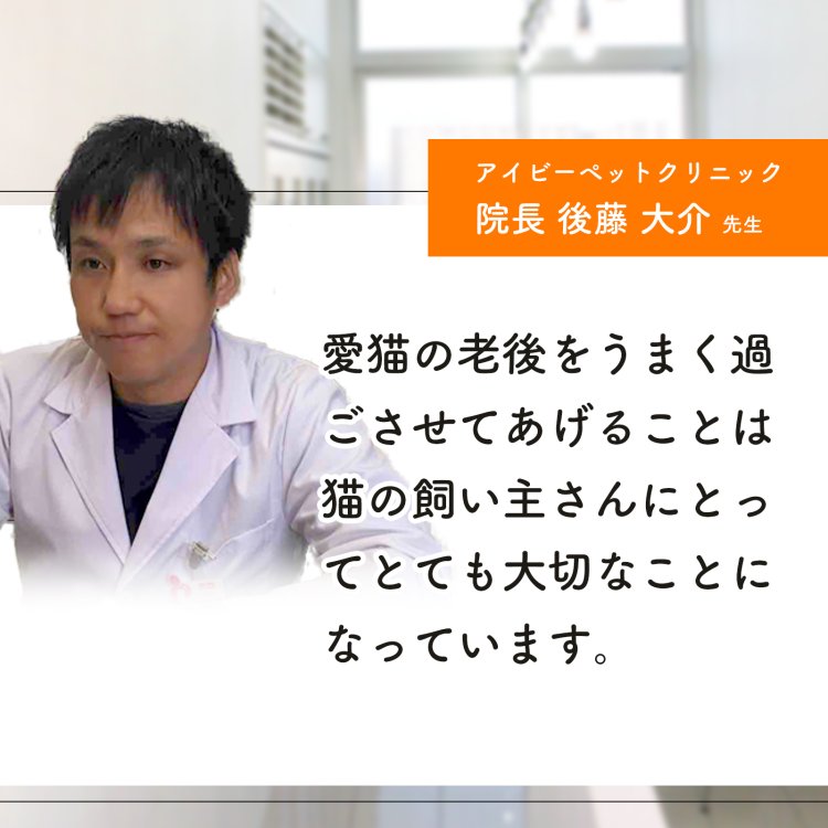 楽天市場 初回半額クーポンプレゼント 老猫の健康維持 7成分配合 Dha Epa 亜麻仁油 フェルラ酸 イチョウ葉 ビタミンe ビタミンb12 認知症 オメガ3 シニア猫 不安 夜鳴き 徘徊 リラックス ストレス 猫用サプリ 毎日一緒 ウィズペティ 楽天市場店