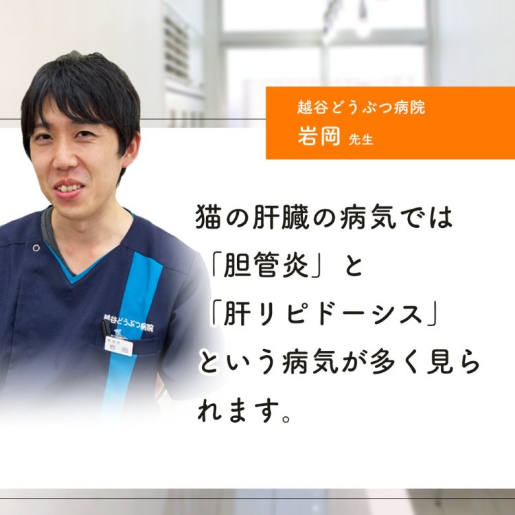 【楽天市場】【初回半額クーポンプレゼント】（肝臓の健康維持）【8成分配合：肝臓加水分解物（肝臓エキス） プラセンタ SAMe（酵母） BCAA ウコン  マリアアザミエキス 亜鉛 オルニチン】肝炎 肝障害 肝機能 黄疸 解毒（猫用サプリ 毎日良肝）：ウィズペティ　楽天市場店