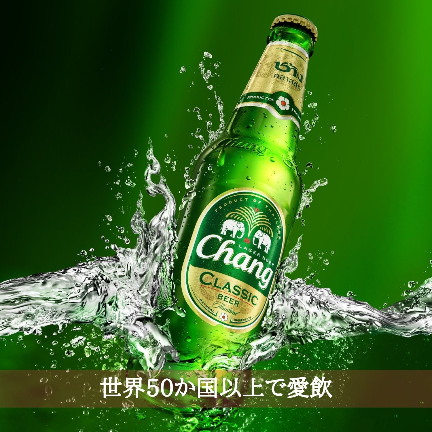 タイ チャーンビール 瓶 3ml 24本入 クラフトビール 世界のビール 海外ビール Changbeer ビール タイビール 象 ラガー タイ料理 正規輸入品 Almarkhiyagallery Com