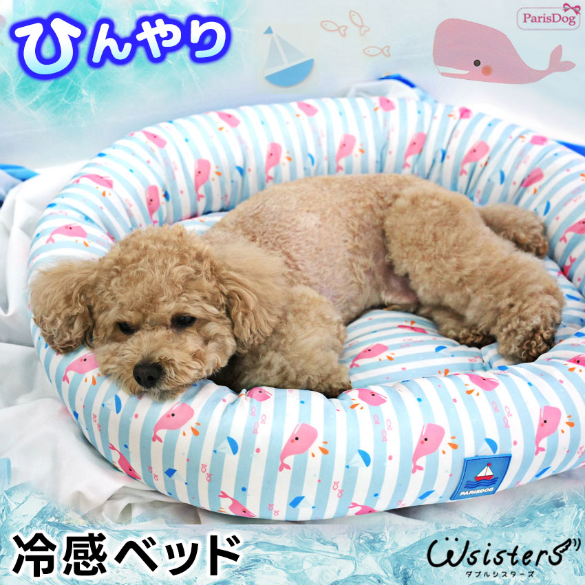 楽天市場】【送料無料】 犬 カートクッション ベッド 犬用