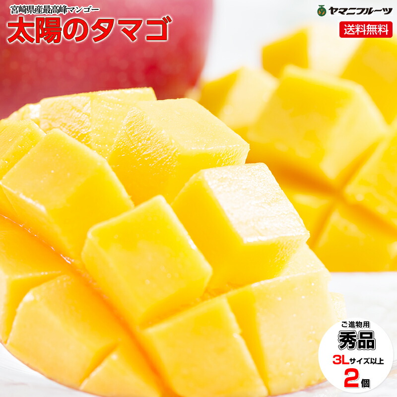 ★[ご進物用/秀品] 宮崎県産マンゴー 太陽のタマゴ 青秀品 3L以上の大玉【送料無料/のし対応】【宮崎県特産品】[プレゼント 誕生日 ギフト 贈り物 お祝い 内祝い 出産祝い お供え 景品 お見舞い 手土産などに]