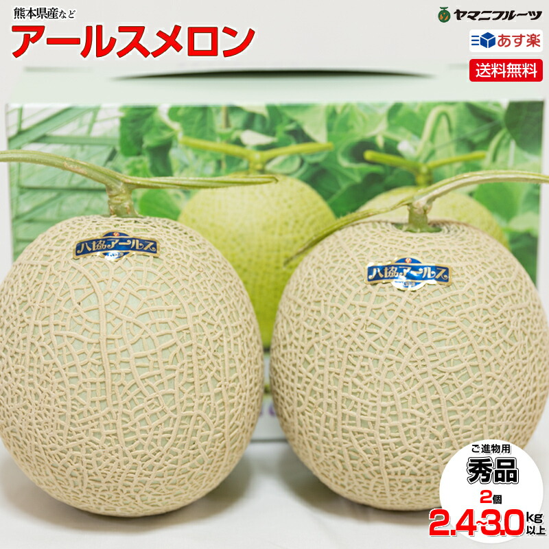 早期割引大特価！熊本県産２玉入り【注：発送は4月下旬開始 それ以前は送れません】 アールスメロン 送料無料 母の日 父の日 母の日メロン 誕生日 誕生日プレゼント ありがとう メロン 国産 果物 フルーツ 御供 手土産 お返し 御礼 お祝い 内祝 プレゼント ギフト 出産内祝