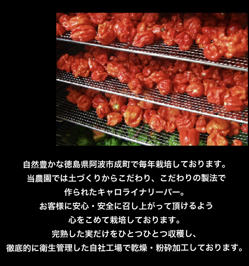 市場 ポイント10倍 香辛料 スパイス粉末 大容量 50g 国産 業務用 粉末 超激辛 一味唐辛子 キャロライナリーパー 調味料 瓶