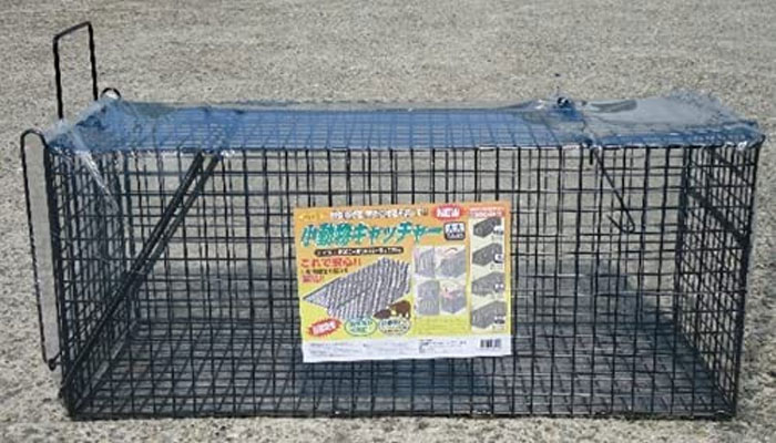 小動物キャッチャー　大大　114959　捕獲器［4995345047437］ W42×D115×H52cm 【頑張って送料無料！】