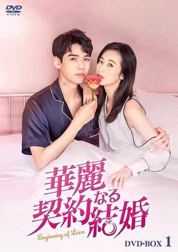 【おまけCL付】新品 華麗なる契約結婚 DVD-BOX1 / チョウ・ユートン, ゴン・ジュン(6DVD) KEDV837｜ヨコレコ　店