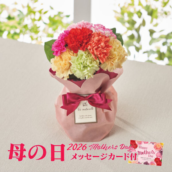 【送料無料】そのまま飾れるブーケ ７色ミックスカーネーション【2026年 母の日 花束 ７色ミックス カーネーション 母の日 送料無料】