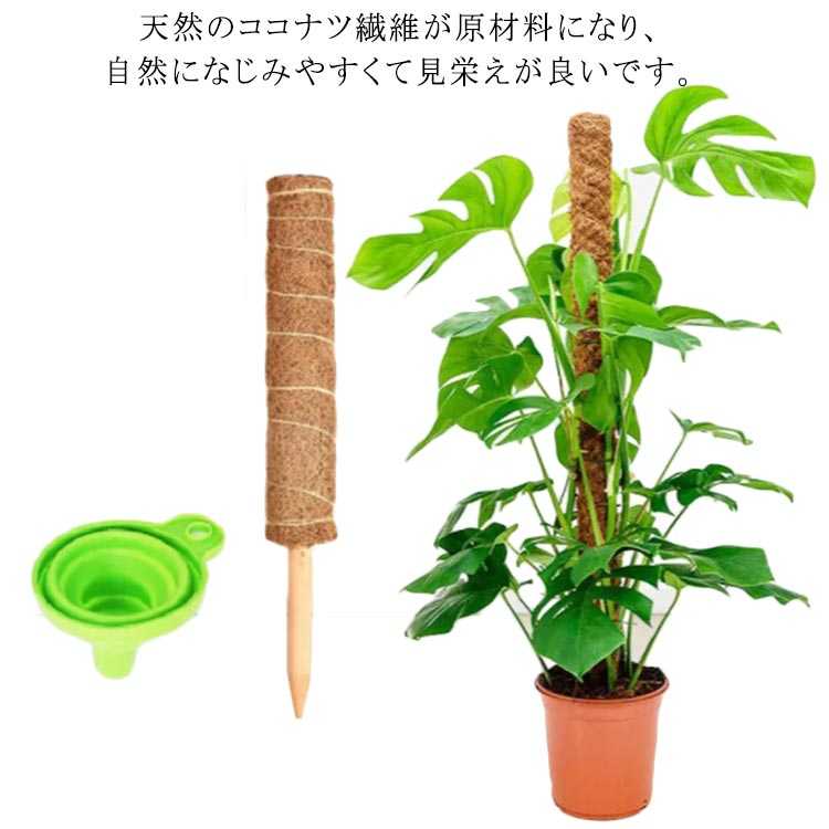 観葉植物 ポトス 園芸支柱 天然 ココナッツ支柱 モンステラ支柱 ガーデニング用 花ささえ 園芸支柱パーツ 植物サポート つる性植物 トマト 支柱  農業用 植物 園芸用 高さ調整可能 おしゃれ 30cm 40cm 50cm ココスティック お見舞い