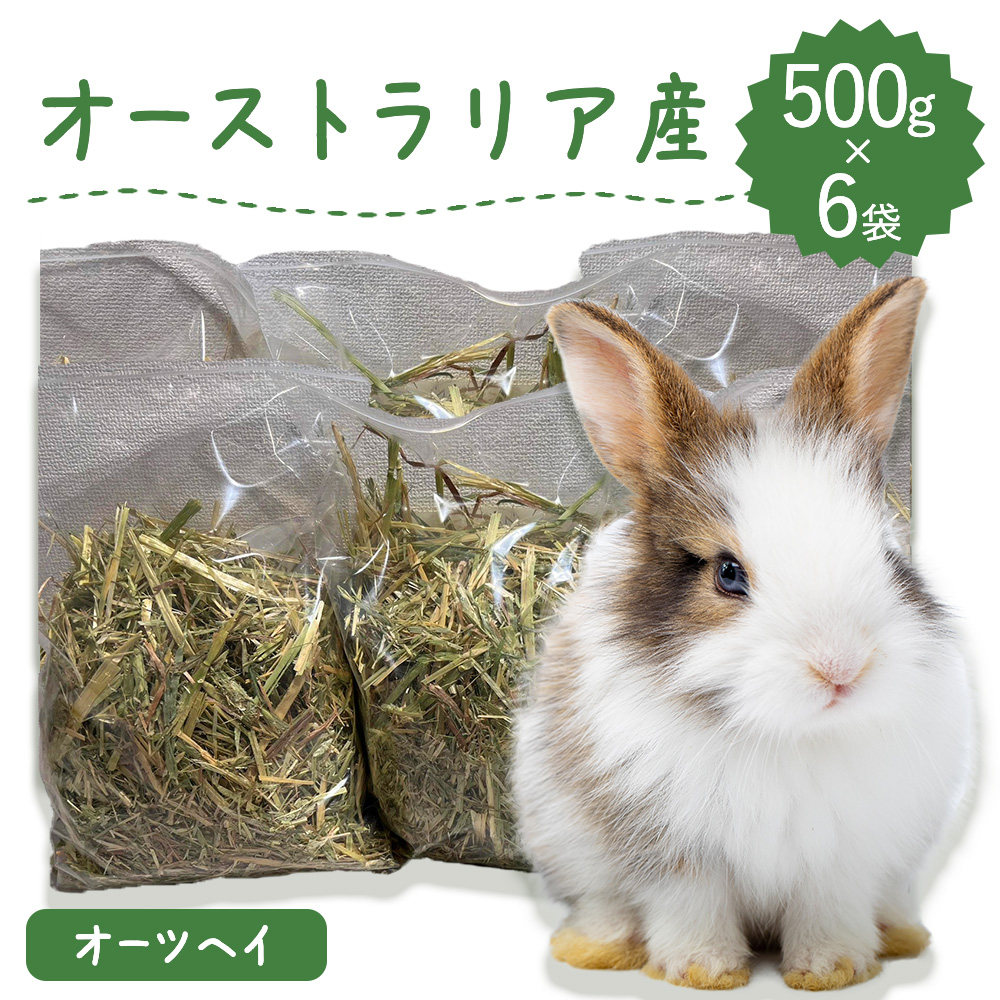 楽天市場】【ラベルレス】【嗜好性が高く繊維質豊富】うさぎ牧草