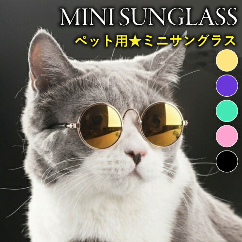 楽天市場 サングラス ペット用 猫 子犬用 猫用メガネ 猫用サングラス ペット用サングラス ペットグッズ ねこ ネコ アクセサリー 撮影 人気 流行 トレンド おしゃれ プレゼント ギフト Youtube インスタ映え 送料無料 アクセサリー専門店 きらら