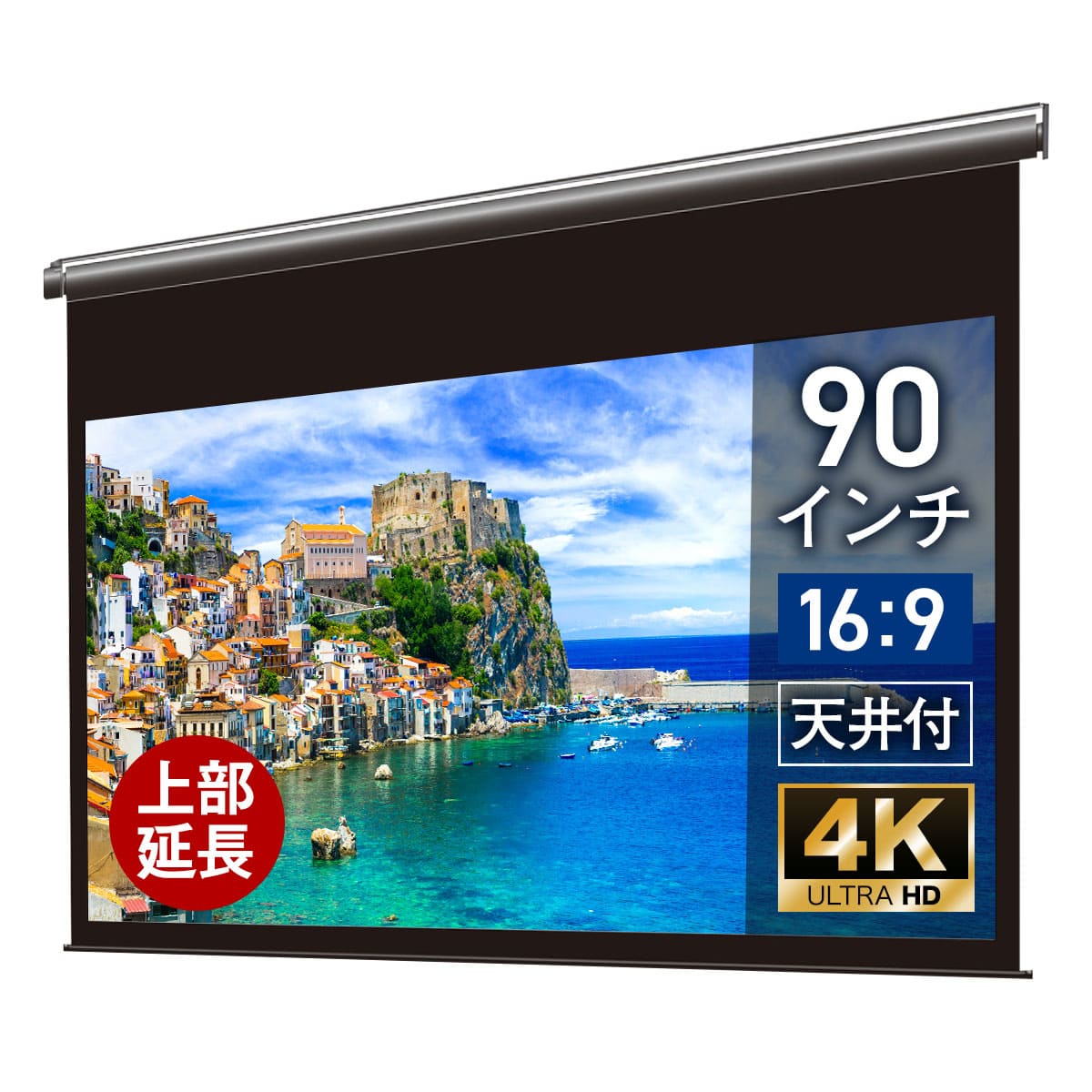 シアターハウス プロジェクター スクリーン 90インチ ワイド 16:9 電動 吊り下げ ホームシアター 4K 高画質 静音モーター リモコン付き 日本製 生涯保証 壁掛け 天吊り ケースなし ロール式 リビング シアタールーム 延長 BDR1992WEM-H2300