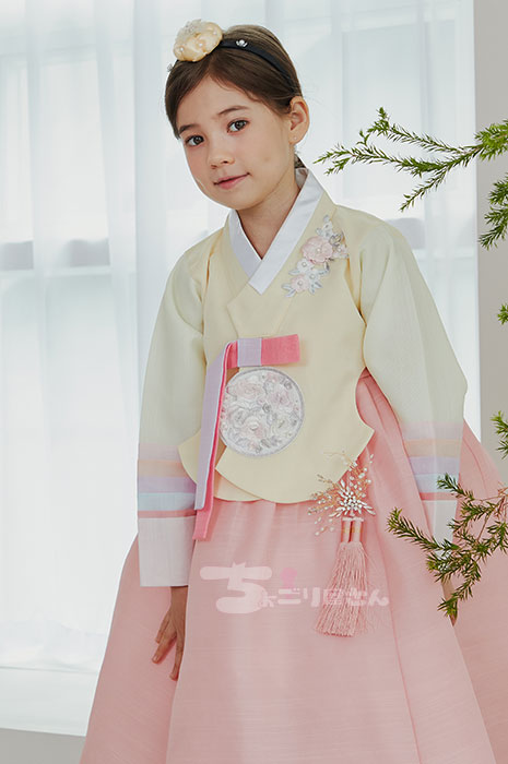 【F-394Hsa9号即日さし出し能力のある】 韓国直輸入 お子さん用チマチョゴリ 韓服 御芽出度 入園式 洋琴告げ知らせる会 でき事♪ 七五三 お生まれ落ちる日 かき鳴らす会にも 裾除け チュモニ 仕掛ける ふんわり 言い慣わし表現スタイル オッコルム ノリゲ トルティ