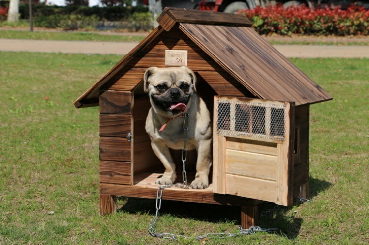 最大63％オフ！ Lサイズ犬舎 猫舎 犬小屋 猫小屋 ペット屋 PET HOUSE DIY組み立て 木製 ドア付き 室内屋外犬舎 ペット用 小屋 屋外  中型犬 大型用 ドッグハウス ペットハウス qdtek.vn