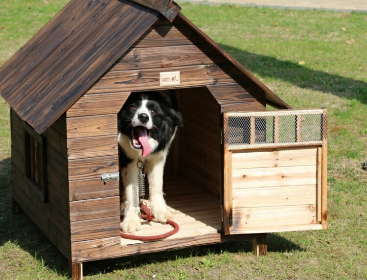 最大63％オフ！ Lサイズ犬舎 猫舎 犬小屋 猫小屋 ペット屋 PET HOUSE DIY組み立て 木製 ドア付き 室内屋外犬舎 ペット用 小屋 屋外  中型犬 大型用 ドッグハウス ペットハウス qdtek.vn