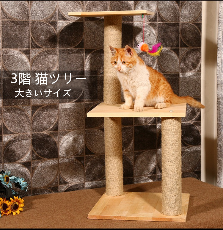 楽天市場】セットA 猫小屋猫の登山フレーム ペット ペットツリー 楽天市場】セットA 猫小屋猫の登山フレーム ペット ペットツリー