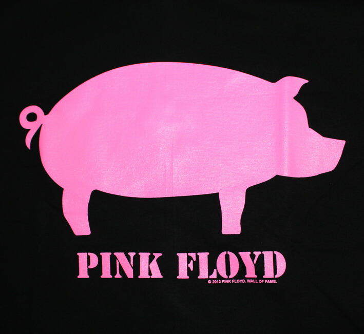 楽天市場 Pink Floyd Tシャツ ピンク フロイド ピンクフロイド バンドtシャツ ロックtシャツ メンズ レディース キッズ ユニセックス Rock Band T Shirts メール便ok ロックファッション 半袖 Golden Rock T楽天市場店