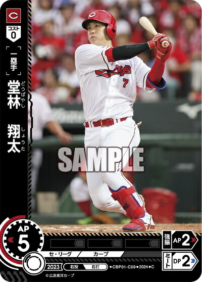 cbp01-c_09-c.jpg