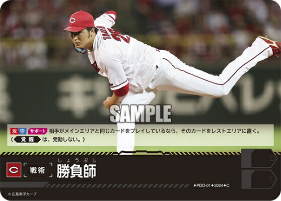 楽天市場】プロ野球カードゲーム ドリームオーダー セ・リーグ