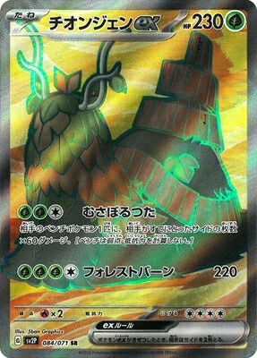 ポケモンカード 12枚セット 2910008593108.jpg
