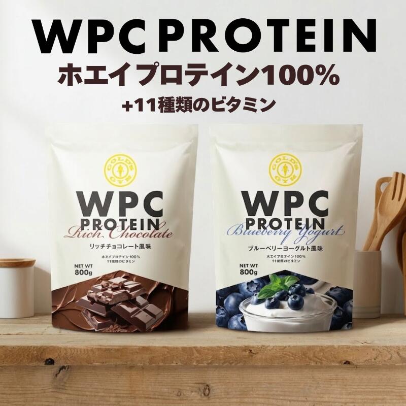 ゴールドジム WPC ホエイプロテイン リッチチョコレート風味 ブルーベリーヨーグルト風味 800g F5700 F5710 公式サイト GOLD'S GYM | たんぱく質 ビタミン