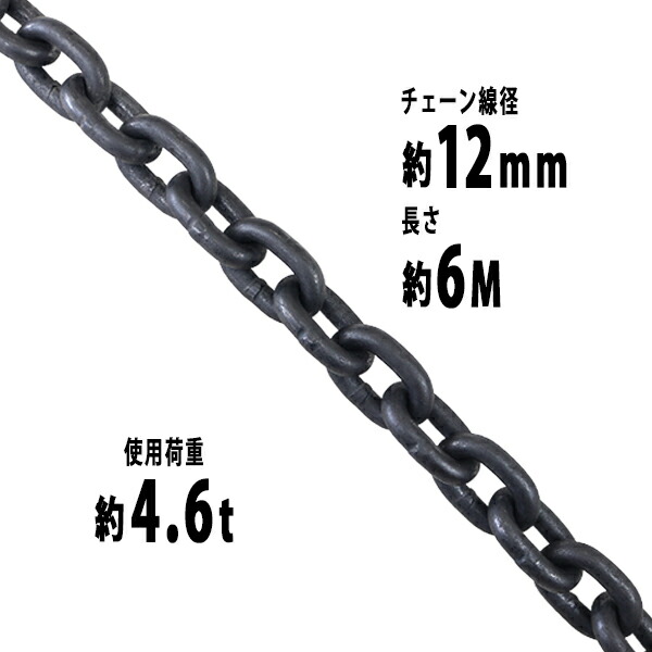 使用荷重約4 6t 使用用途に合わせてカスタム可能 12mmチェーン 線径約12mm 運搬 くさり 玉掛け 玉掛け チェーン チェーンスリング 運輸 約6m クレーン 送料無料 土木 G80 建築 金具 鎖 スリングチェーン 吊り上げ くさり 約4600kg 鉄工 エコノミーモデル リンクチェーン