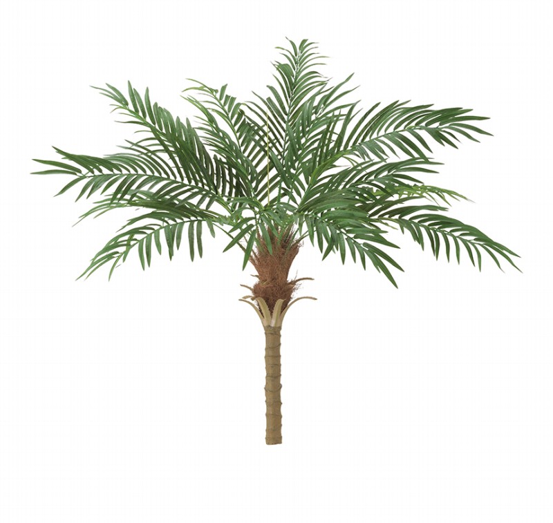 観葉植物　造花　フェニックスパームツリー　全長150ｃｍ　ヤシの木ディスプレイ　2分割｜ゴールドスター