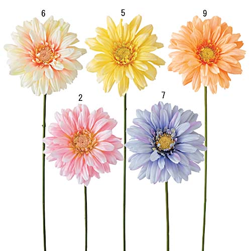 楽天市場】[最短出荷 残りわずか]ガーベラ(YE・4本set) スパイラル