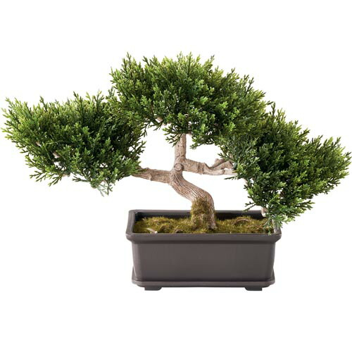 25cm杉盆栽(苔付き)　盆栽苔付き　装飾ディスプレイ　造花