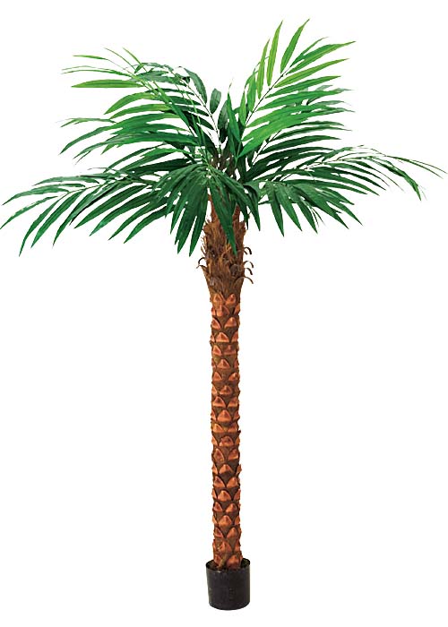 240ｃｍココナッツツリー　観葉植物造花装飾　※ポットは別売り｜ゴールドスター