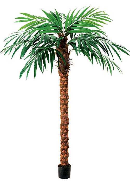 観葉植物　造花　270cmココナッツツリー　ヤシの木ディスプレイ｜ゴールドスター