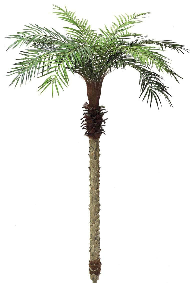 観葉植物　造花　フェニックスパームツリー　全長210ｃｍ　ヤシの木ディスプレイ　2分割｜ゴールドスター