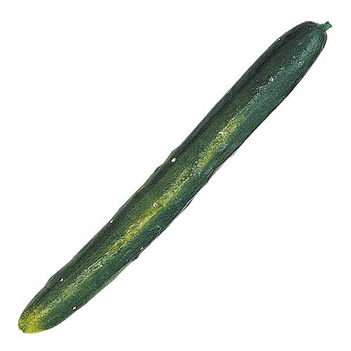 食品サンプル　野菜装飾　260mmキュウリ　6個セット販売　食品売り場・ショーウインドウ・野菜サンプル装飾 5,984円