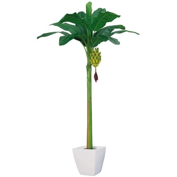 バナナツリーLLサイズ(房バナナ付き)少し青い 全長270cm 観葉植物造花装飾 ※白いポット別売り|ゴールドスター