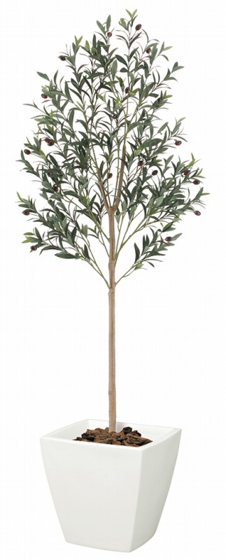 人工観葉植物　瀬戸内オリーブツリー　155cm　造花　装飾　造花 フェイクグリーン 人工観葉植物　平和のシンボルオリーブの装飾｜ゴールドスター
