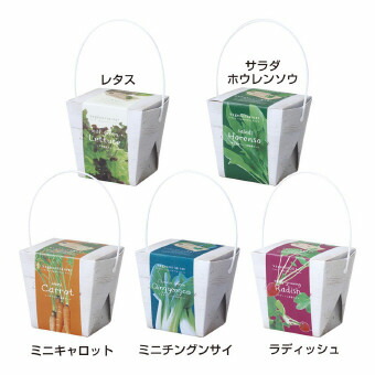 楽天市場 ベジコンテナ おしゃれなパッケージデザインの耐水フードコンテナで育てる野菜栽培セット 環境にやさしい紙製の鉢で野菜を栽培 種類指定不可 ゴールドスター