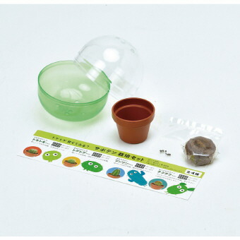 繁殖射出座席 サボテン 48個仕かける取引 ガチャガチャのカプセルの内方にはサボテン耕作セットが入っています Acilemat Com